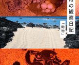 ９月の観察日記「動物」