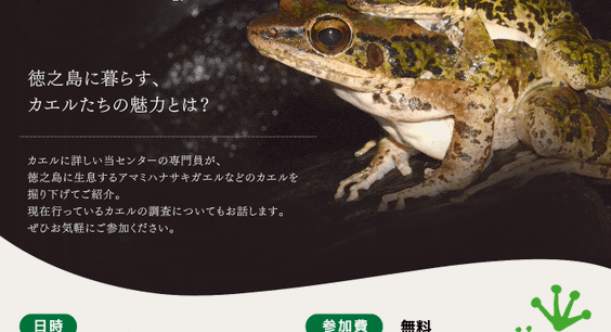 「徳之島のカエルを知る夜」を開催します!