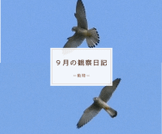 9月の観察日記（動物）