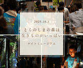 ナイトミュージアム「とくのしまの森は 生きものがいっぱい」を開催しました。