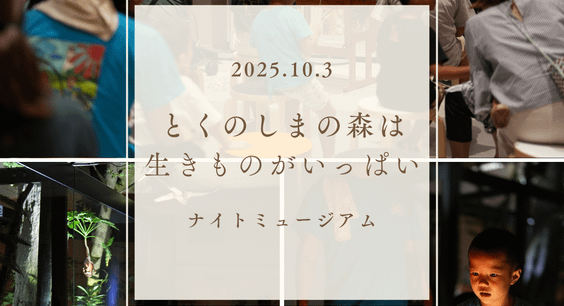 ナイトミュージアム「とくのしまの森は 生きものがいっぱい」を開催しました。