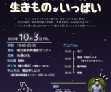 ナイトミュージアムを開催します！