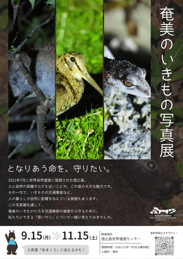 「奄美のいきもの写真展」開催！