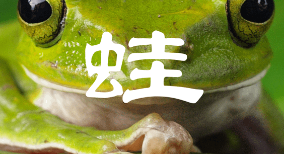 企画展「蛙」開催のお知らせ