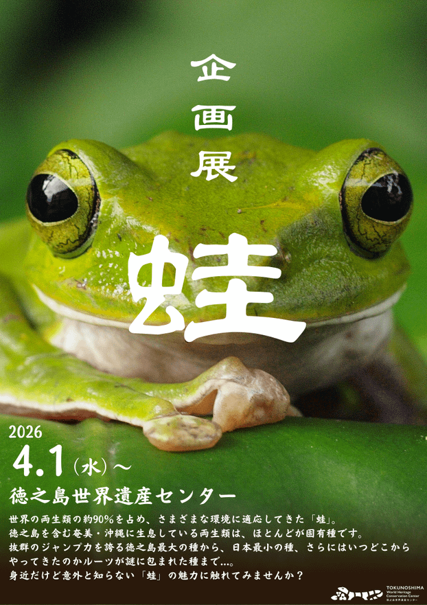 企画展「蛙」開催のお知らせ