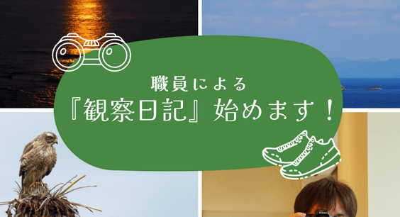 職員による「観察日記」始めます!