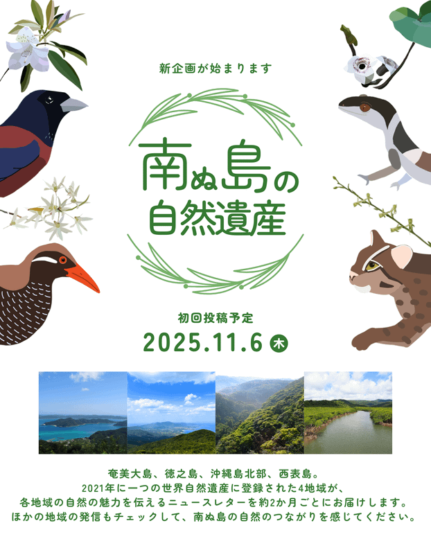 SNSで４地域連携が始まりました！