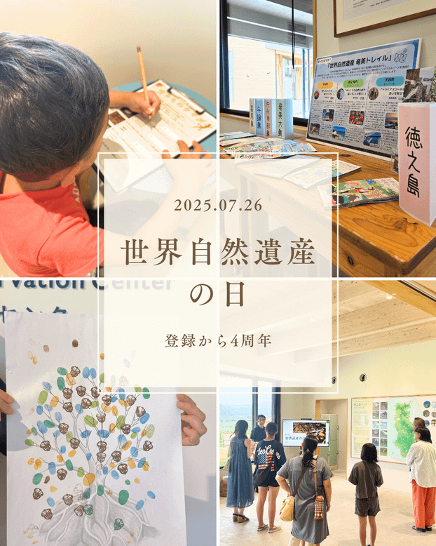 「世界自然遺産の日」の様子