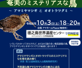 シンポジウム「身近になった⁉奄美のミステリアスな鳥」開催のお知らせ