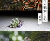 6月の観察日記「動物」