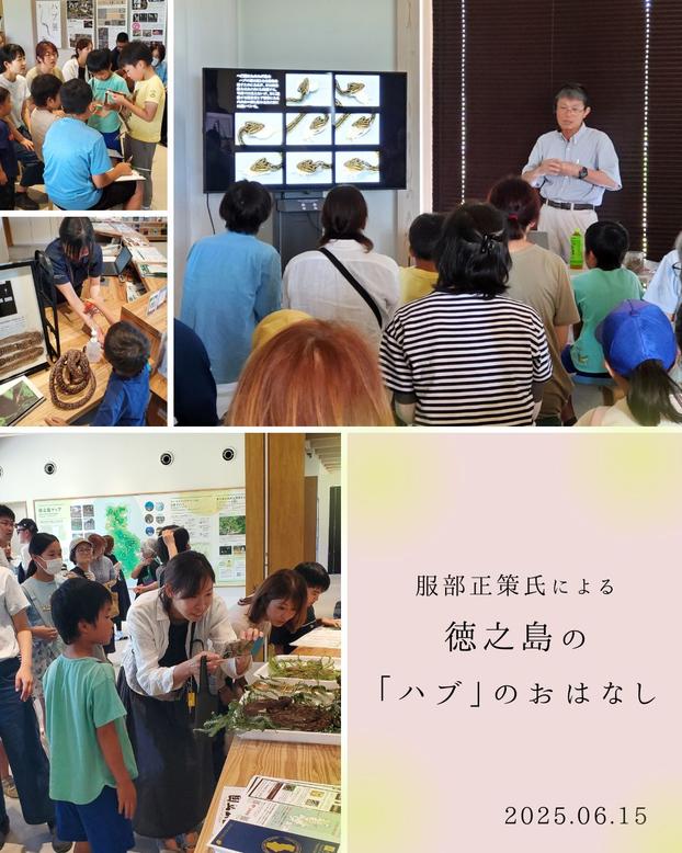 徳之島の「ハブ」のおはなし、講演会の様子