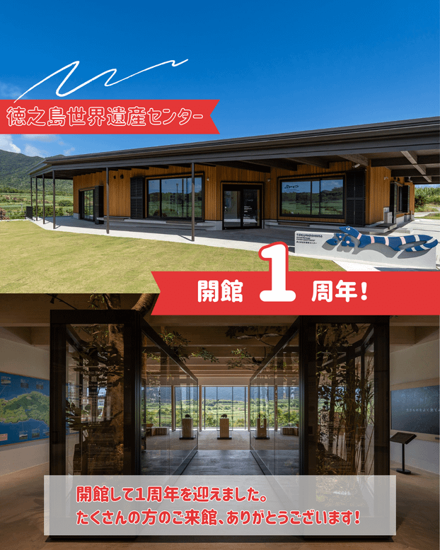 開館１周年を迎えました！