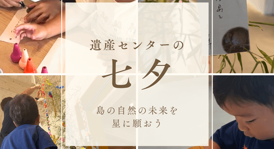 遺産センターの七夕の様子