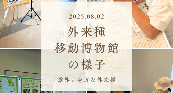 外来種移動博物館の様子