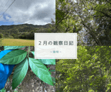 2月の観察日記「植物」