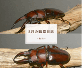 8月の観察日記（動物）