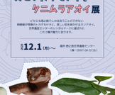 企画展「オビトカゲモドキとタニムラアオイ」開催