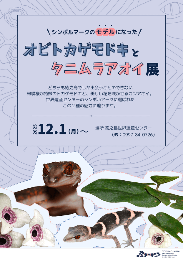 企画展「オビトカゲモドキとタニムラアオイ」開催