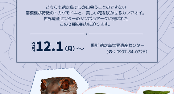 企画展「オビトカゲモドキとタニムラアオイ」開催