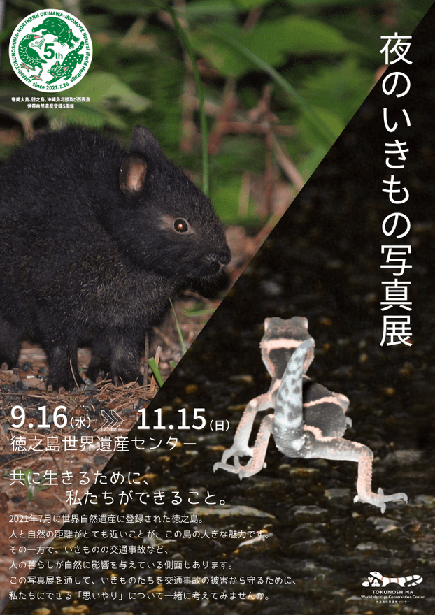 「夜のいきもの写真展」開催！